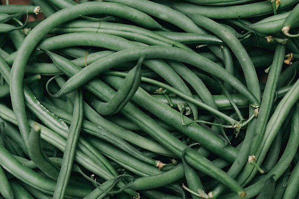 Haricots verts