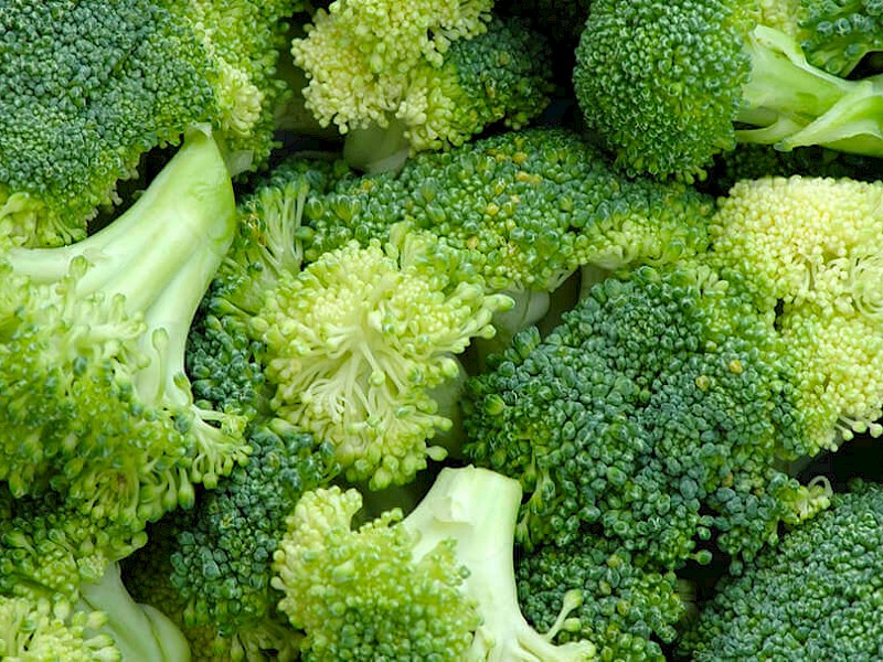 Brocoli