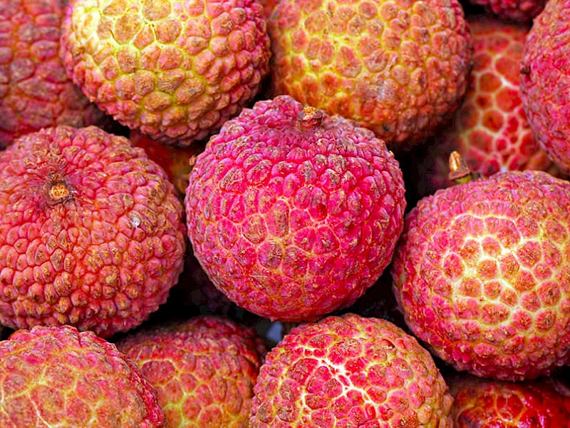 Litchis