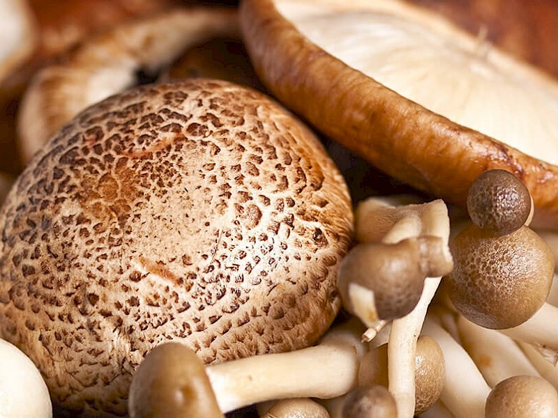 Champignons