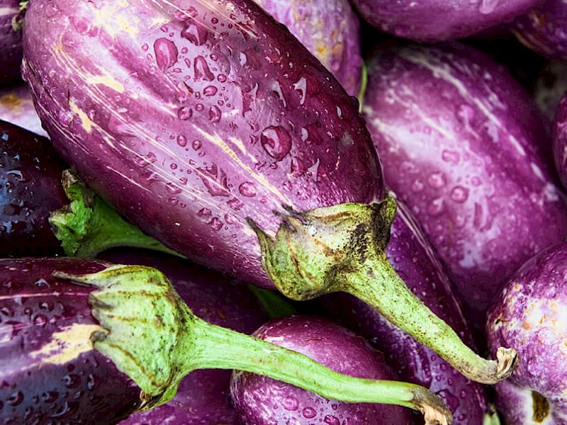 Aubergine  Légumes suisses