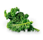 Chou vert / Chou kale